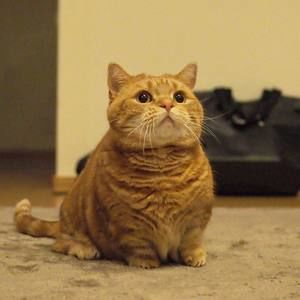 Meet your Posher, Li